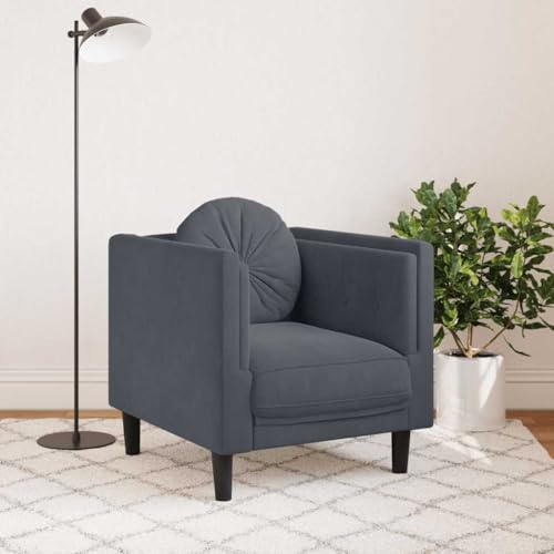 Dark Grey Velvet Sofa Chair with Padded Armrests, Modern Single Seating Plush Armchair, Solid Wood Frame, Removable Cushion Cover for Easy Cleaning - color: Dark Gray, size: 1 & Sofa