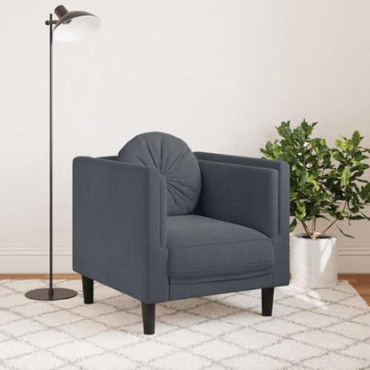 Dark Grey Velvet Sofa Chair with Padded Armrests, Modern Single Seating Plush Armchair, Solid Wood Frame, Removable Cushion Cover for Easy Cleaning - color: Dark Gray, size: 1 & Sofa