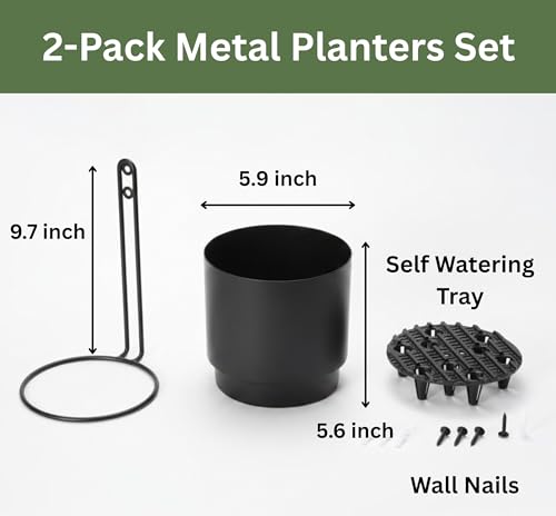 Self-Watering Wall Planters for Indoor Outdoor Plants (5.9 inch) | Metal Wall Vase, Wall Hanging Planter, Wall Plant Holder, Plant Hanger, Hanging Planter, Wall Plant - color: Black