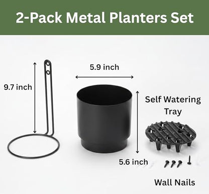Self-Watering Wall Planters for Indoor Outdoor Plants (5.9 inch) | Metal Wall Vase, Wall Hanging Planter, Wall Plant Holder, Plant Hanger, Hanging Planter, Wall Plant - color: Black