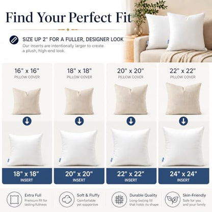 Leeden 18x18 Pillow Inserts Pack of 2, 18 Inch Throw Pillow Inserts, Soft Fluffy Decorative Square Throw Pillows for Couch, Sofa, Bed, and Home Decor White Pillows - size: 18x18 Inch