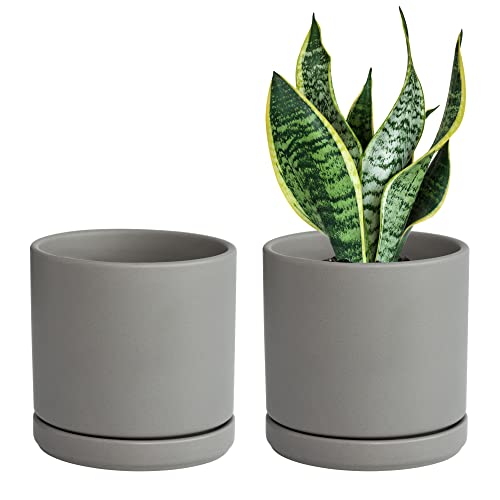 D'vine Dev 2-Pack Ceramic Pots with Saucers, Grey, 6 in, 94-V-C-3 | Modern Cylinder Design, Glazed Ceramic, Drainage Hole & Saucer Included, High Temperature Fired, Elegant Home Accent - color: Gray, size: 6 Inch