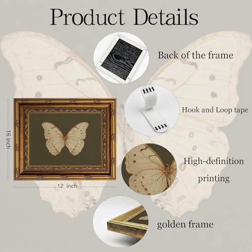 Vintage Gold Framed Wall Art Classical White Butterfly Wall Art Small Moody Insect Green Wall Decor Picture Antique Cottagecore Moth Gallery Aesthetic Poster Print for Living Room Bedroom 12x16in - color: Butterfly, size: 16"l X 12"w