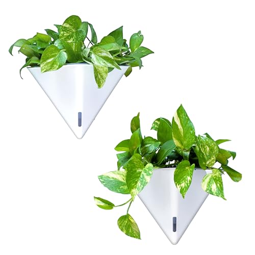 LaLaGreen Wall Planters for Indoor Plants (12in, 2 Pack) White Planter | Large Self Watering Geometric Hanging Flower Vase Vessel with Metal Hanger, Modern Stylish Wall Mounted Succulent Pot Decor - color: White X 2 Pack