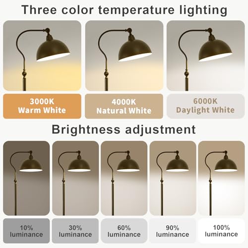 Bright Reading Floor Lamp with Remote and Bluetooth Dimming | Adjustable Brightness and Color temperature, Matte Black Iron Lampshade,Modern Retro Living Room Bedroom Office Standing Lamp - color: Black Remote Dimming