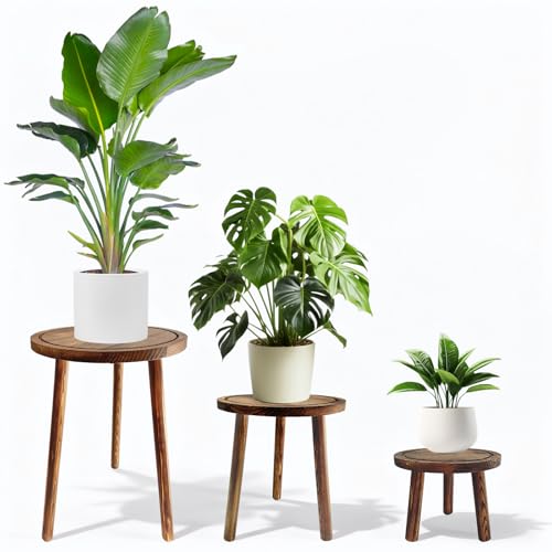 3-Pack Wood Plant Stands Indoor for 6-12 Inch Pots | Multiple Mid-Century Modern Stool, Tall Corner Planter Table for Living Room, Balcony & Office