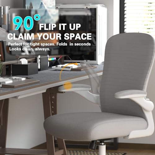 Ergonomic Home Office Chair, 4-Way Lumbar, Thick Cushion, 330LBS | Adjustable Lumbar (up/down/in/out), Rocking Mesh Back, Flip-up Arms, Easy Assembly, Ideal for home offices & small workspaces - color: White-grey and Silver