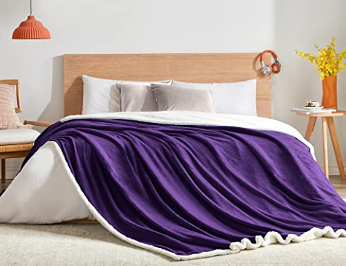 BEAUTEX Sherpa Fleece Twin Blankets Soft Fluffy Flannel Plush Cozy | Fuzzy Purple Cuddle Blanket for Couch, Bed, Sofa, Adults (60" x 80", Purple) - color: Purple, size: Twin-60"x80"