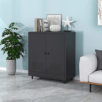 Metal Storage Cabinet with 2 Doors and Adjustable Shelf, Steel Accent Sideboard Buffet Cabinet for Home, Office, Garage, Entryway, Living Room, Kitchen Pantry and Dining Room (Black) - color: Black