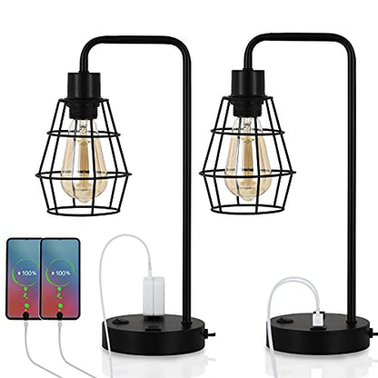 BTY USB Edison Table Lamp Set of 2, Bedside Nightstand Desk Lamps with Dual USB Charging Ports and 2 Prong AC Outlet Metal Wire Cage Industrial Reading Table Lamp for Bedroom Living Room Farmhouse - size: CAGE 1