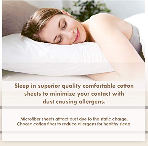 3 Pc Lightweight Reversible Comforter Set 400 TC All Season Down Alternative Duvet Insert- 1 Reversible Comforter with 2 Sham (Queen, Light Gray/Gray)