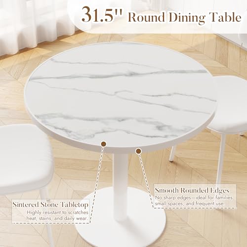 31.5'' Tulip Table, Round Dining Table with Matte Sintered Stone Tabletop | White Aluminum Alloy Edge & Pedestal, Small Bistro Table for Dining Room/Café/Small Spaces/Restaurant (Snow Peak Marble) - color: Snow Peak Marble (White Edge), size: Round