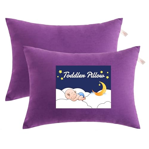 NTBAY Toddler Pillows, Down Alternative 13"x18" Pillows, Machine Washable - Soft and Breathable Travel Small Pillows for Sleeping, Ideal for Daycare, Crib, Cot, Purple | Soft Microfiber Toddler Pillows with Down-Alternative Fill, 2 Pack 13 x 18 Inch Pillo