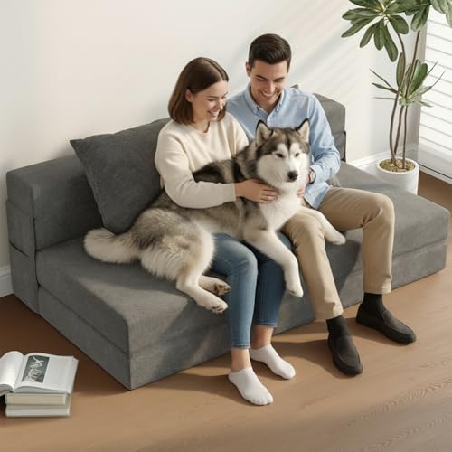 5-in-1 Convertible Folding Sofa Bed Sleeper Chair - Queen, Dark Grey | 60" Fold Out Chair Bed Futon Couch with Pillows, Foldable Floor Mattress for Living Room/Dorm/Guest Use/Home Office/Apartment - color: Dark Grey, size: Queen
