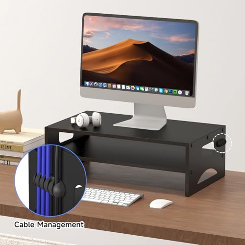 Pholiten 2-Tier Monitor Stand Riser for desk | 66.1 lbs Desk Shelf with Storage Organizer for Office, Home, Laptop Monitor Printer Stand