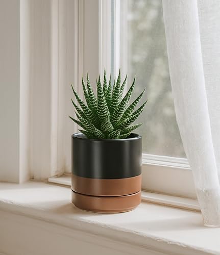 D'vine Dev 2-Pack Ceramic Pots with Saucers, Black/Tan, 4.7 in, 94-V-B-7 | Modern Cylinder Design, Glazed Ceramic, Drainage Hole & Saucer Included, High Temperature Fired, Elegant Home Accent - color: Black/Speckled Tan, size: 4.7 Inch