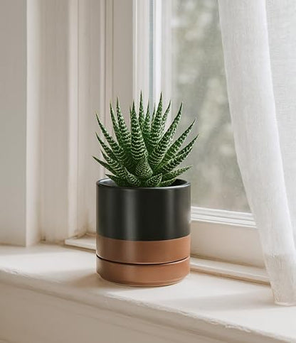 D'vine Dev 2-Pack Ceramic Pots with Saucers, Black/Tan, 4.7 in, 94-V-B-7 | Modern Cylinder Design, Glazed Ceramic, Drainage Hole & Saucer Included, High Temperature Fired, Elegant Home Accent - color: Black/Speckled Tan, size: 4.7 Inch