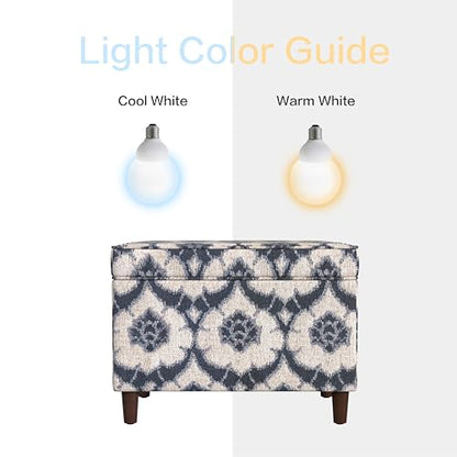 Spatial Order 24" Dinah Collection Storage Ottoman - Blue Medallion Print - color: Blue Medallion Print