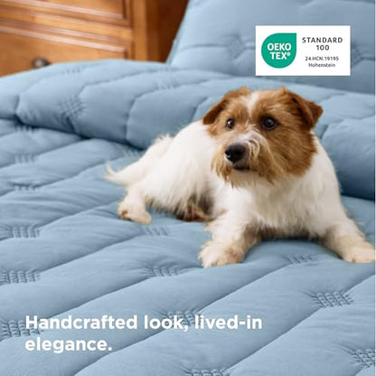 Bedsure Lightweight Comforter Queen Size – Extra Soft & Breathable Quilt Set, 3 Piece Prewashed Cotton-Like Polyester Bedding, Includes 1 Quilt 90x96 Inches with 2 Shams, Machine Washable, Dusty Blue - color: 04 - Dusty Blue, size: Queen / Full (90" x 96"
