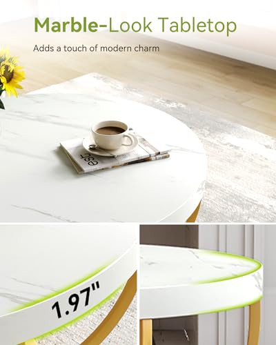 LITTLE TREE Round Coffee Table, 32" Faux Marble Circle Coffee Table | 2-Tier Wood Accent Center Table with Open Storage Industrial Design Home Furniture for Living Room(White and Gold) - color: White and Gold