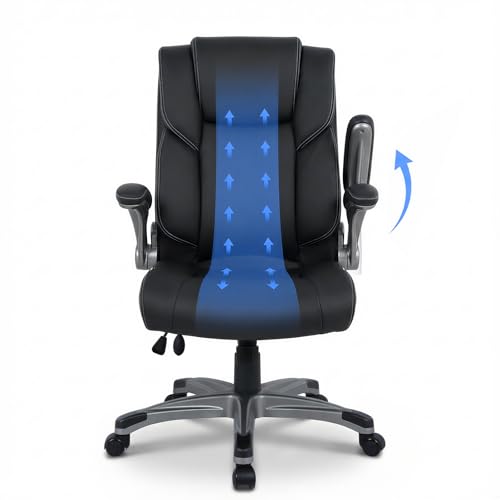 COLAMY Ergonomic Executive Office Chair, High Back Desk Chair with Adjustable Lumbar Support, Flip-Up Armrests & Thick Seat Cushion, 90°–110° Reclining Computer Chair for Home Office - color: Clacssic Black, size: Set of 1
