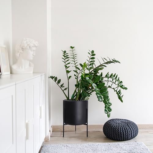 D'vine Dev Cylinder Planter Pot with Metal Stand, Black, 14 in, 96-T-B-4 | Durable Fiberclay Construction, Sleek Modern Design, Heavy-Duty Iron Stand, Drainage Hole & Saucer, Elegant Indoor Display - color: Black, size: X-Large 14 Inch