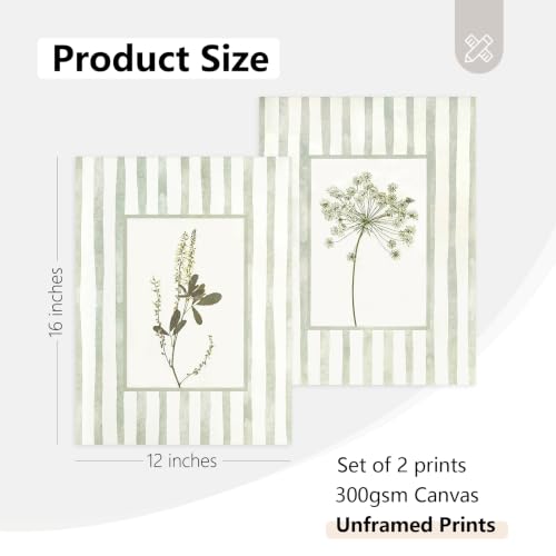 Sage Green Botanical Wall Art Decor Floral Picture Vintage Flower Prints | Cottagecore Wildflower Canvas Wall Art Striped Botanical Poster for Bathroom Bedroom Living Room 12x16 Inch Unframed Set of 2 - color: Sage Green Flower Prints, size: 12x16 Inch Un