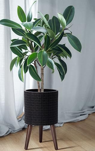 D'vine Dev Planter Pot with Wood Stand, 10 in, Distressed Black, 88-Z-B-5 | Mid-Century Modern Style, Elevated Plant Display, Drainage Hole and Plug, Functional & Stylish, Modern Indoor Planter - color: Distressed Black, size: Medium