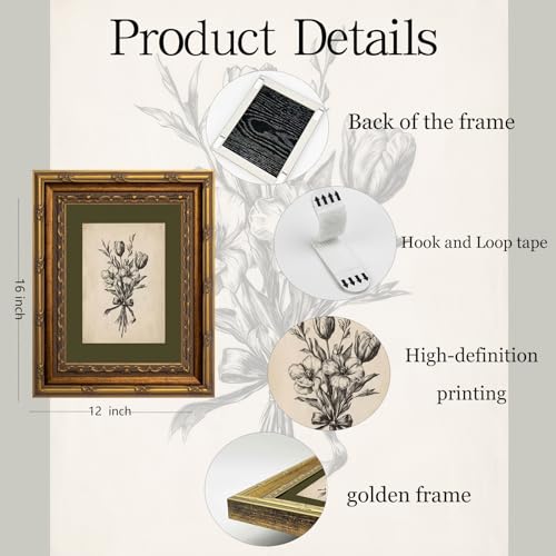 Gold Framed Wall Art Vintage Flower Sketch Wall Art Antique Sage Green Botanical Wall Decor Picture Dark Green Floral Drawing Poster Print for Bedroom Living Room 12x16in - color: Floral, size: 16"l X 12"w