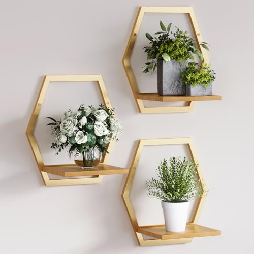 3 Pack Solid Wood & Heavy Duty Metal Wall Plant Stands, 25 LB Load Boho Arch Hanging Planter,9 inch Natural Wood Shelf for Indoor Plants Golden - color: golden