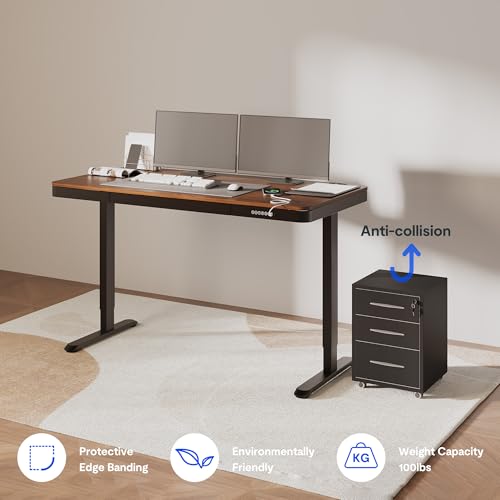 FLEXISPOT Comhar 55" Electric Standing Desk with Storage, Built-in Drawer & USB Charging Ports, Height Adjustable Sit Stand Computer Desk, Quick Assembly, Child Lock, Walnut - size: 55"Dark Walnut/Black
