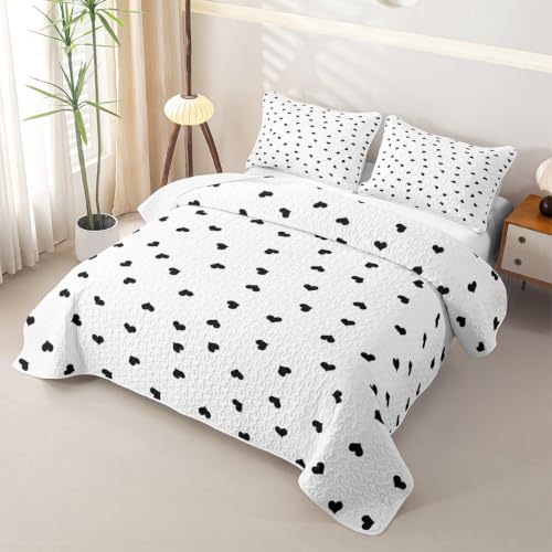 Sweet Heart Kids Quilt Set Full Size,Romantic Quilted Bedspread,Princess Style Quilted Coverlet with 2 Pillow Sham,Black White Bed Covers for All Season - color: Black White, size: Full