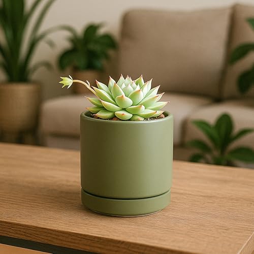D'vine Dev 2-Pack Ceramic Pots with Saucers, Olive, 3.5 in, 94-V-A-J | Modern Cylinder Design, Glazed Ceramic, Drainage Hole & Saucer Included, High Temperature Fired, Elegant Home Accent - color: Olive, size: 3.5 Inch
