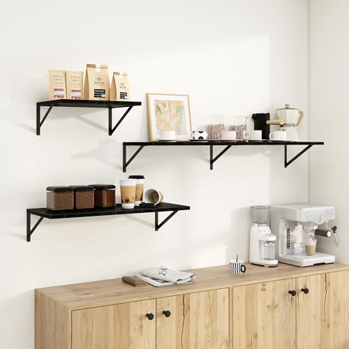 Dreamland Wall Mounted Floating Shelves Set of 2, 30x12, Black | Engineered Wood, Visible Bracket, Large Storage, Hold Up to 55lbs, Living Room, Bathroom, Bedroom, Kitchen - color: Black, size: 30"W x 12"D