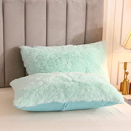 Faux Fur Velvet Fluffy Bedding Duvet Cover Set Down Comforter Quilt Cover with Pillow Sham, Ultra Soft Warm (Twin, Aqua) - color: Aqua, size: Twin