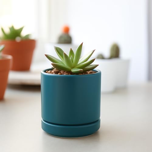 D'vine Dev 2-Pack Ceramic Pots with Saucers, Teal, 3.5 in, 94-V-A-9 | Modern Cylinder Design, Glazed Ceramic, Drainage Hole & Saucer Included, High Temperature Fired, Elegant Home Accent - color: Teal, size: 3.5 Inch