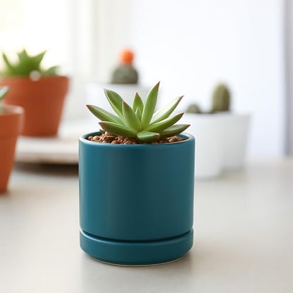 D'vine Dev 2-Pack Ceramic Pots with Saucers, Teal, 3.5 in, 94-V-A-9 | Modern Cylinder Design, Glazed Ceramic, Drainage Hole & Saucer Included, High Temperature Fired, Elegant Home Accent - color: Teal, size: 3.5 Inch
