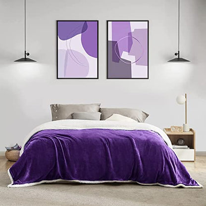 BEAUTEX Sherpa Fleece Twin Blankets Soft Fluffy Flannel Plush Cozy | Fuzzy Purple Cuddle Blanket for Couch, Bed, Sofa, Adults (60" x 80", Purple) - color: Purple, size: Twin-60"x80"