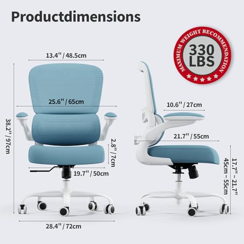 TRALT Office Chair - Ergonomic Desk Chair with Adjustable Lumbar Support, Mesh Computer Chair, Executive Chair for Home Office Comfortable Lumbar Support (1, Sky Blue) - color: Sky Blue