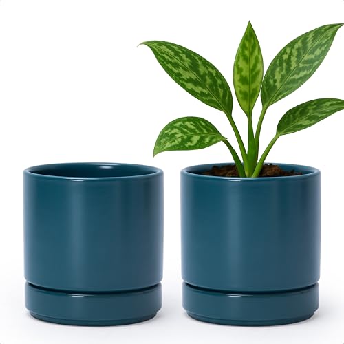 D'vine Dev 2-Pack Ceramic Pots with Saucers, Teal, 4.7 in, 94-V-B-9 | Modern Cylinder Design, Glazed Ceramic, Drainage Hole & Saucer Included, High Temperature Fired, Elegant Home Accent - color: Teal, size: 4.7 Inch