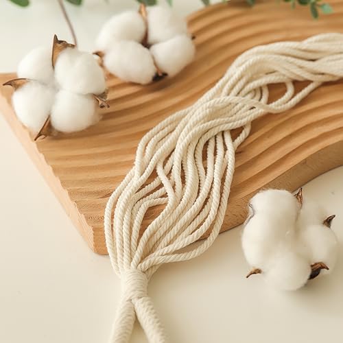 4 Pack Macrame Plant Hangers Indoor Up to 10 inch Pot, Boho Hanging Planters, Plant Holder with 8Pcs Stainless Steel Hooks - color: 4pcs White Hanger