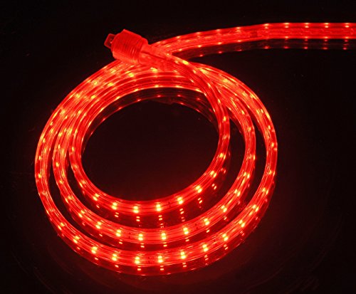 UL Listed, 20 Feet, 2100 Lumen, Red, Dimmable, 110-120V AC Flexible Flat LED Strip Rope Light, 360 Units 3528 SMD LEDs, Indoor Outdoor Use, Accessories Included, Ready to use - color: Red