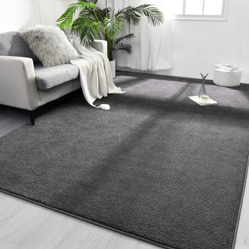 FlyDOIT Area Rugs for Bedroom Living Room, 4x6 Dark Grey Super Soft Comfy Thickened Memory-Foam Indoor Carpets, Modern Aesthetic Minimalist Carpet for Boys Girls Adults Apartment Nursery Home Décor - color: Dark Grey, size: 4' x 6' (Rectangular)