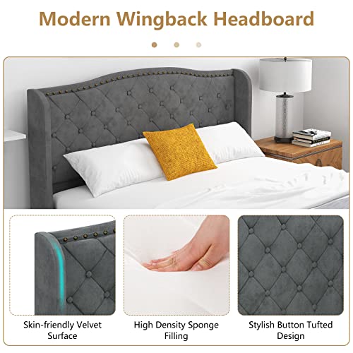 Upholstered Queen Bed Frame w/Wood Slats & Noise-Free EVA Foam | Velvet Mattress Foundation, Button Tufted Wingback Headboard, No Box Spring Needed, Low Platform Bed Frame - size: Queen (U.S. Standard)