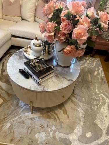 Modern Round Coffee Table with 2 Large Drawers Storage Accent Table(31.5'') - color: Off White