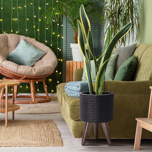 D'vine Dev Planter Pot with Wood Stand, 8 in, Distressed Black, 88-Z-A-5 | Mid-Century Modern Style, Elevated Plant Display, Drainage Hole and Plug, Functional & Stylish, Modern Indoor Planter - color: Distressed Black, size: Small