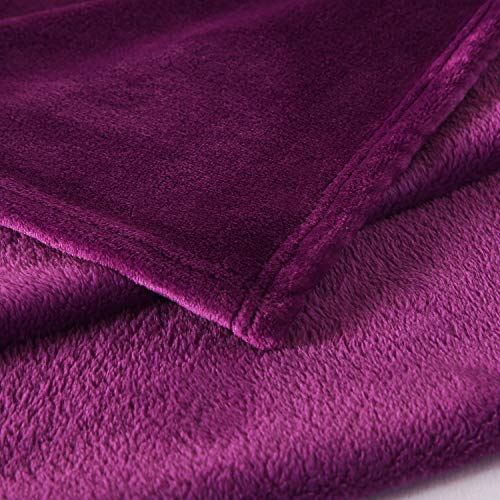 TASTHROW Large Flannel Fleece Throw Blanket, 50×70 Inch | Cozy Lightweight Thick Blanket - All Seasons Suitable for Women, Men and Kids (Two Pack, Purple) - color: Purple, size: Two Pack 50"x70"