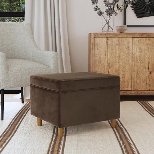 Spatial Order 24" Dinah Collection Storage Ottoman - Chocolate Brown Velvet - color: Chocolate Brown Velvet