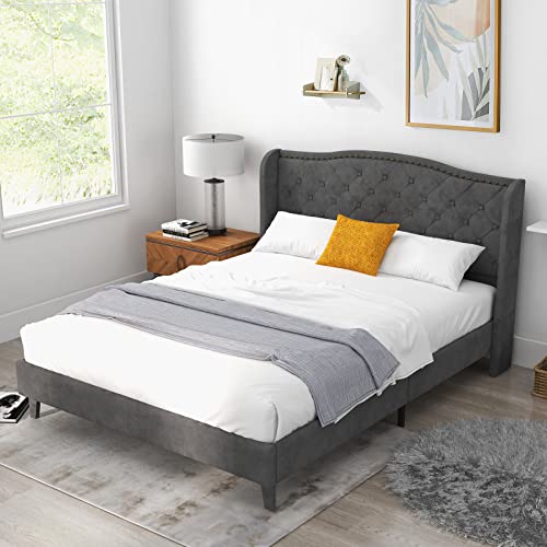 Upholstered Queen Bed Frame w/Wood Slats & Noise-Free EVA Foam | Velvet Mattress Foundation, Button Tufted Wingback Headboard, No Box Spring Needed, Low Platform Bed Frame - size: Queen (U.S. Standard)
