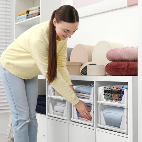 Sorbus Shelf Organizer - Closet Shelf Organizer for Clothes, Closet, Bathroom, Kitchen, Garage - Plastic Stackable Shelf Organizer Baskets - Open Front Design Under Shelf Organizer - size: 2 Small 2 Medium
